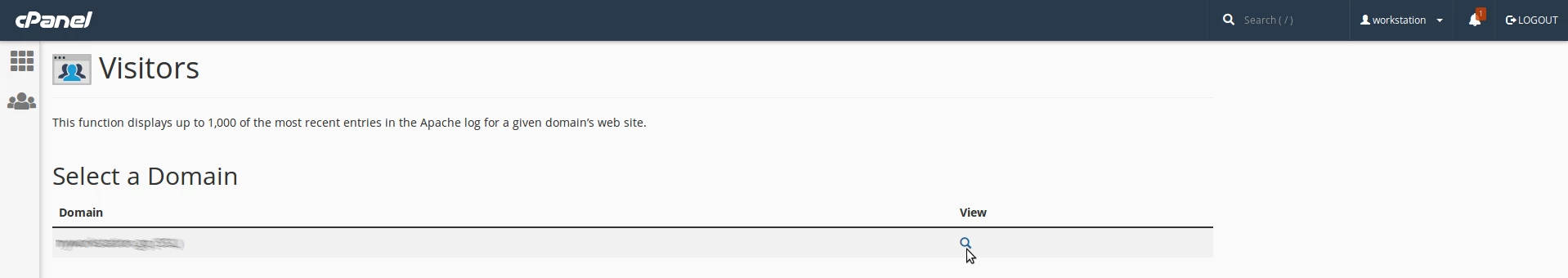 Check visitors on domain cPanel