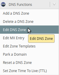 Edit DNS Zone panou whm